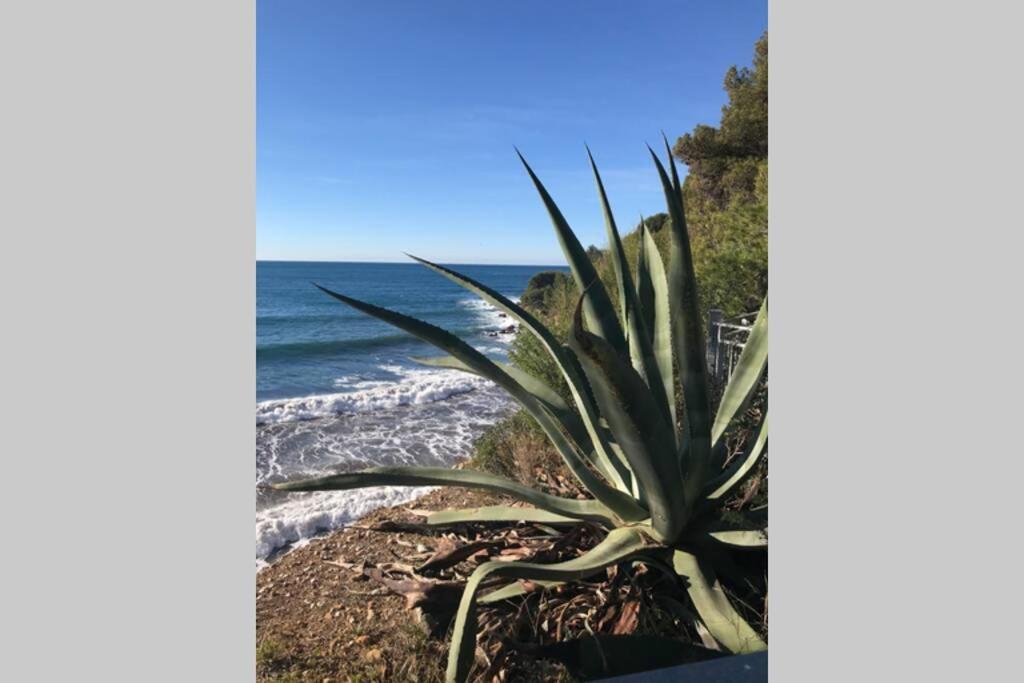 La Petite Pinede Studio Climatise Proche Plage Sanary-sur-Mer Kültér fotó